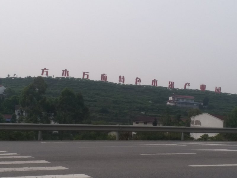 【桃】四川绵阳毛桃突围桃中桃9号精品脆桃即将大量上市