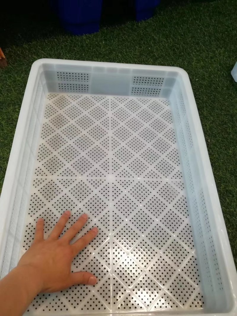 装小龙虾虾苗用的塑料筐子可叠无盖厂家批发
