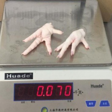巴西A级凤爪