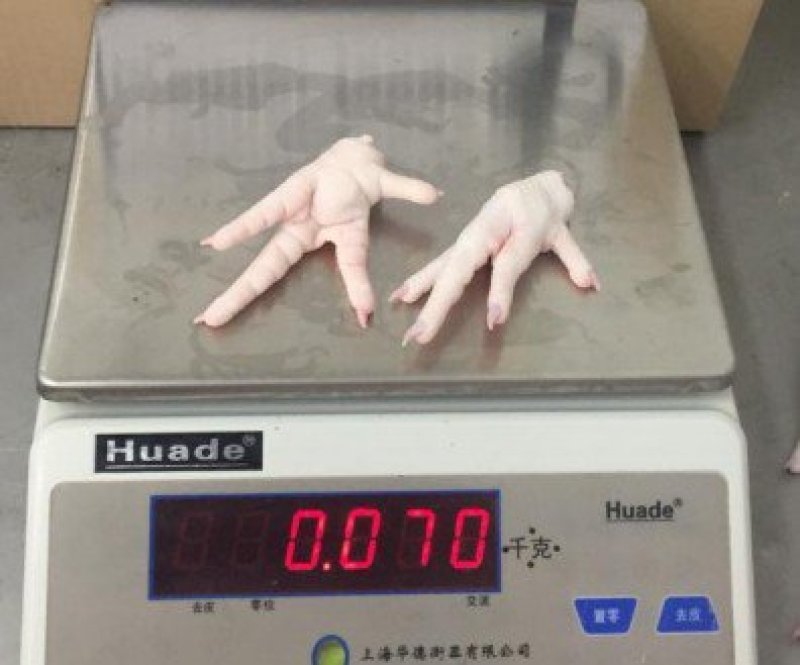 巴西A级凤爪
