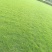 野火烧不尽，春风吹又生（长期出售草皮）