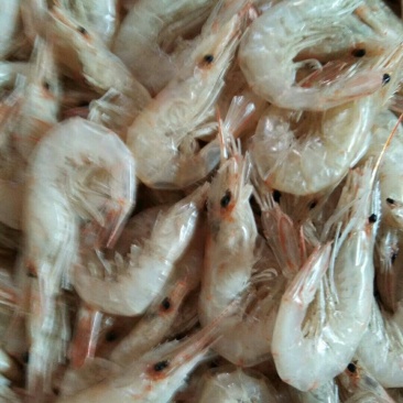虾干纯