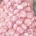 鲜蒜