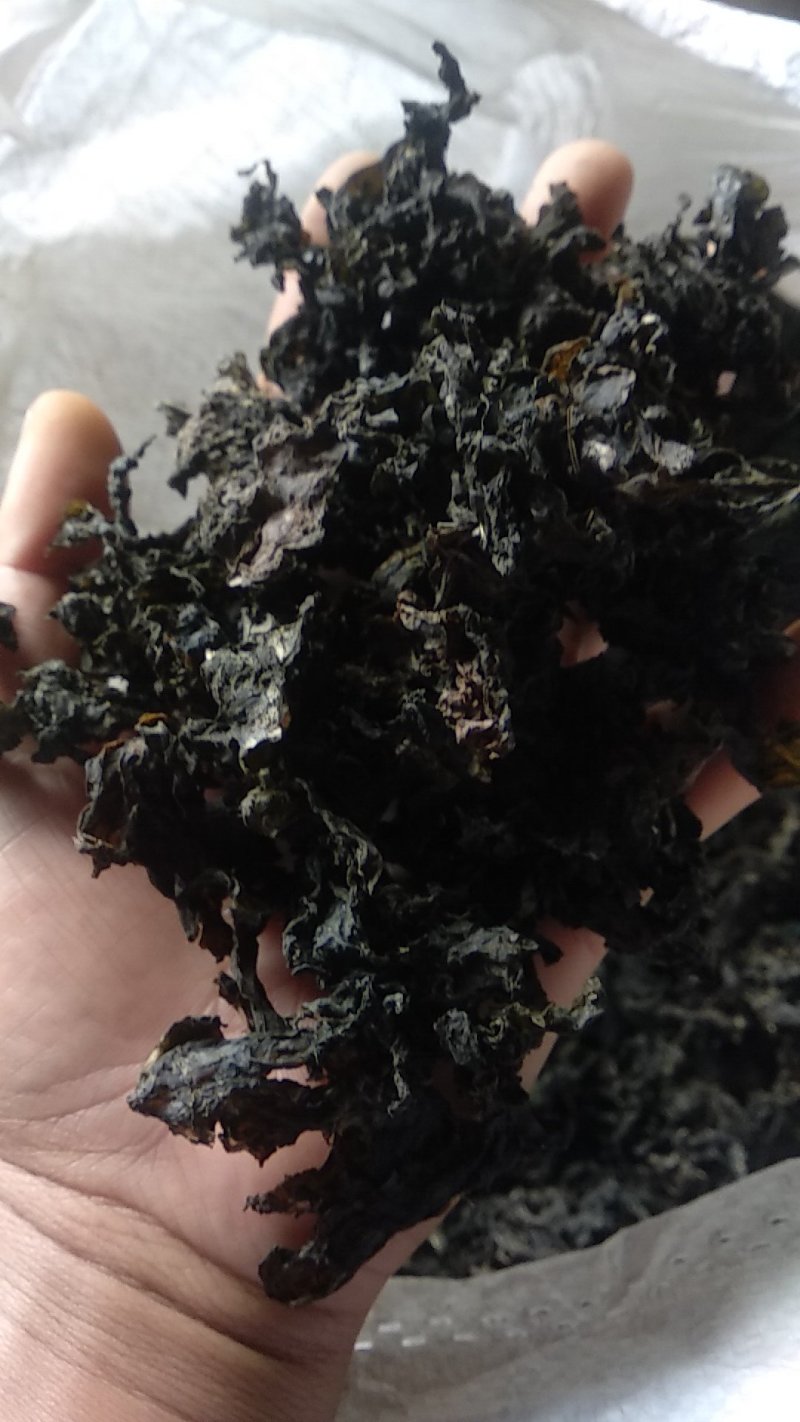 【优选】地皮菜地软杂质少，地木耳，产地直发，欢迎联系看货采购