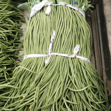 腌制货，加工长豆角大量供应，诚信经营，质量杠杠滴，