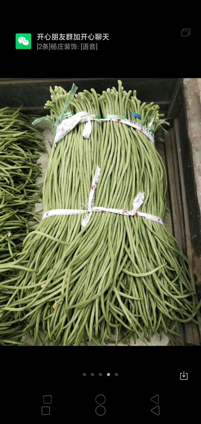 腌制货，加工长豆角大量供应，诚信经营，质量杠杠滴，