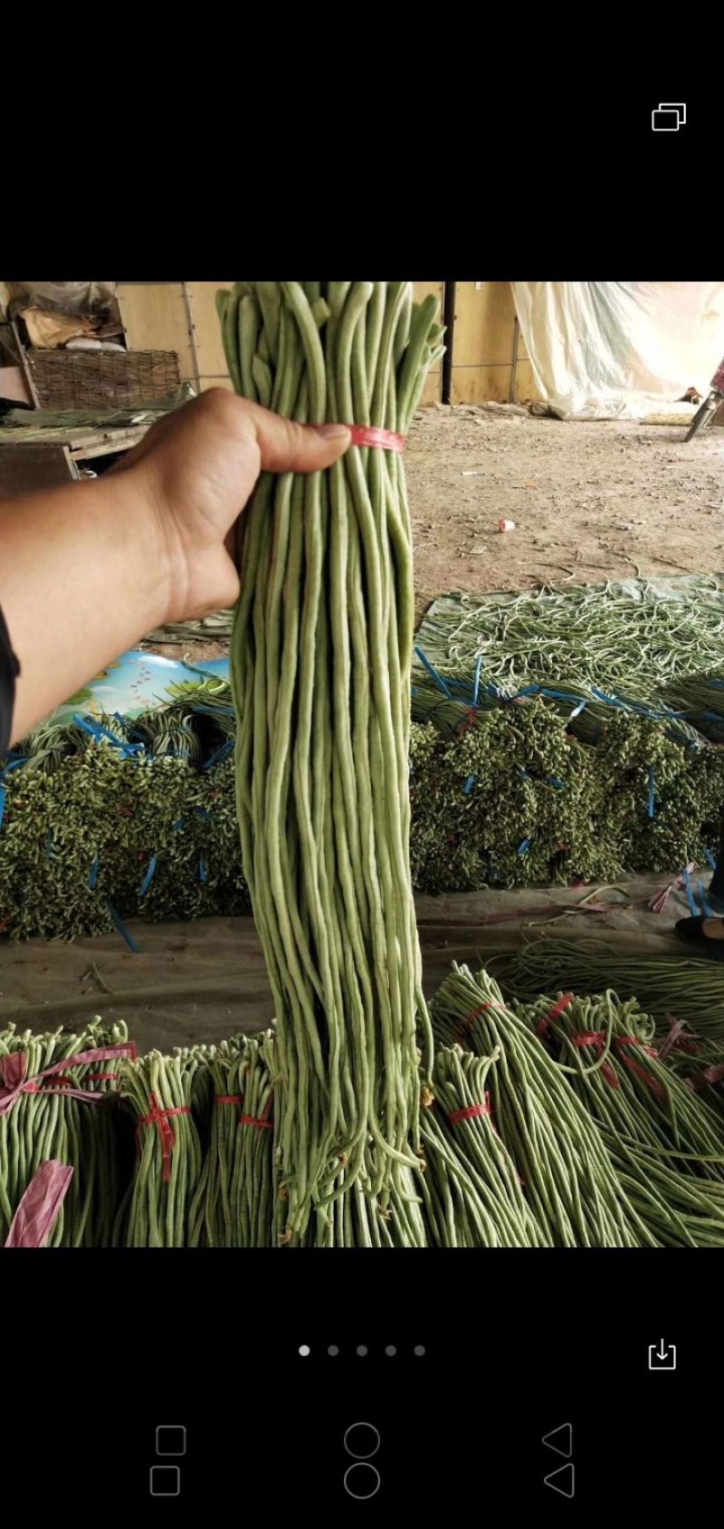 腌制货，加工长豆角大量供应，诚信经营，质量杠杠滴，