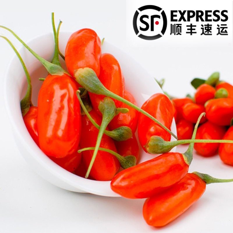 头茬大果新鲜枸杞子鲜果宁夏中宁枸杞顺丰冷链包邮500g