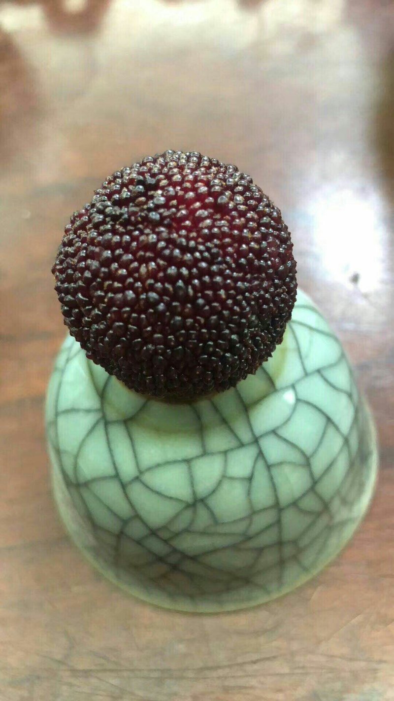 乒乓杨梅3~4cm