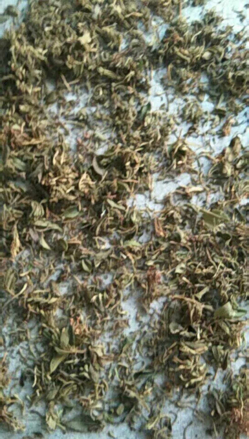 金银花，村山银花