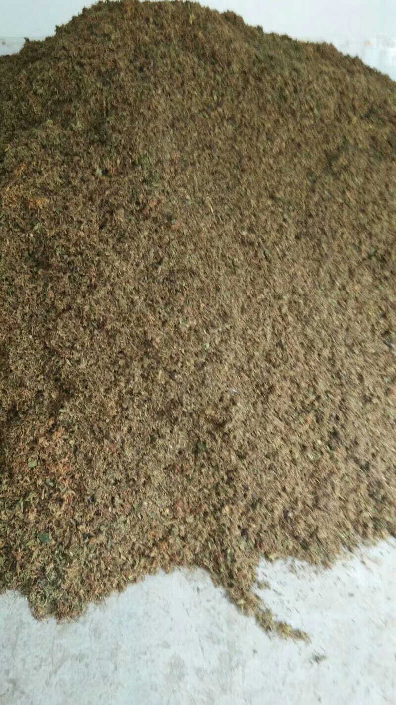 山银花