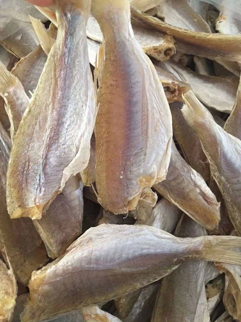 金线鱼