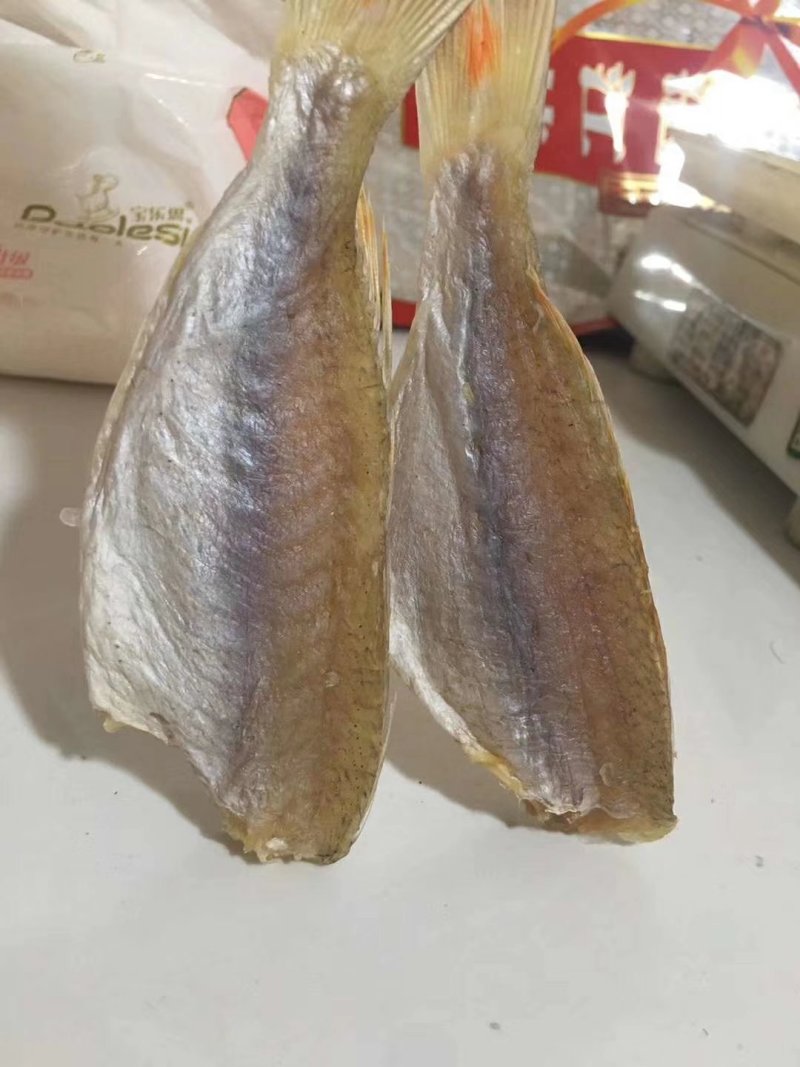 金线鱼
