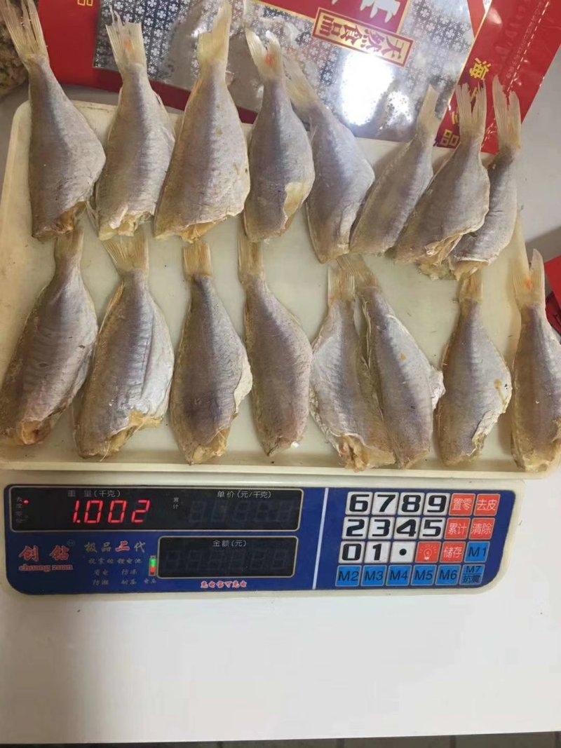 金线鱼