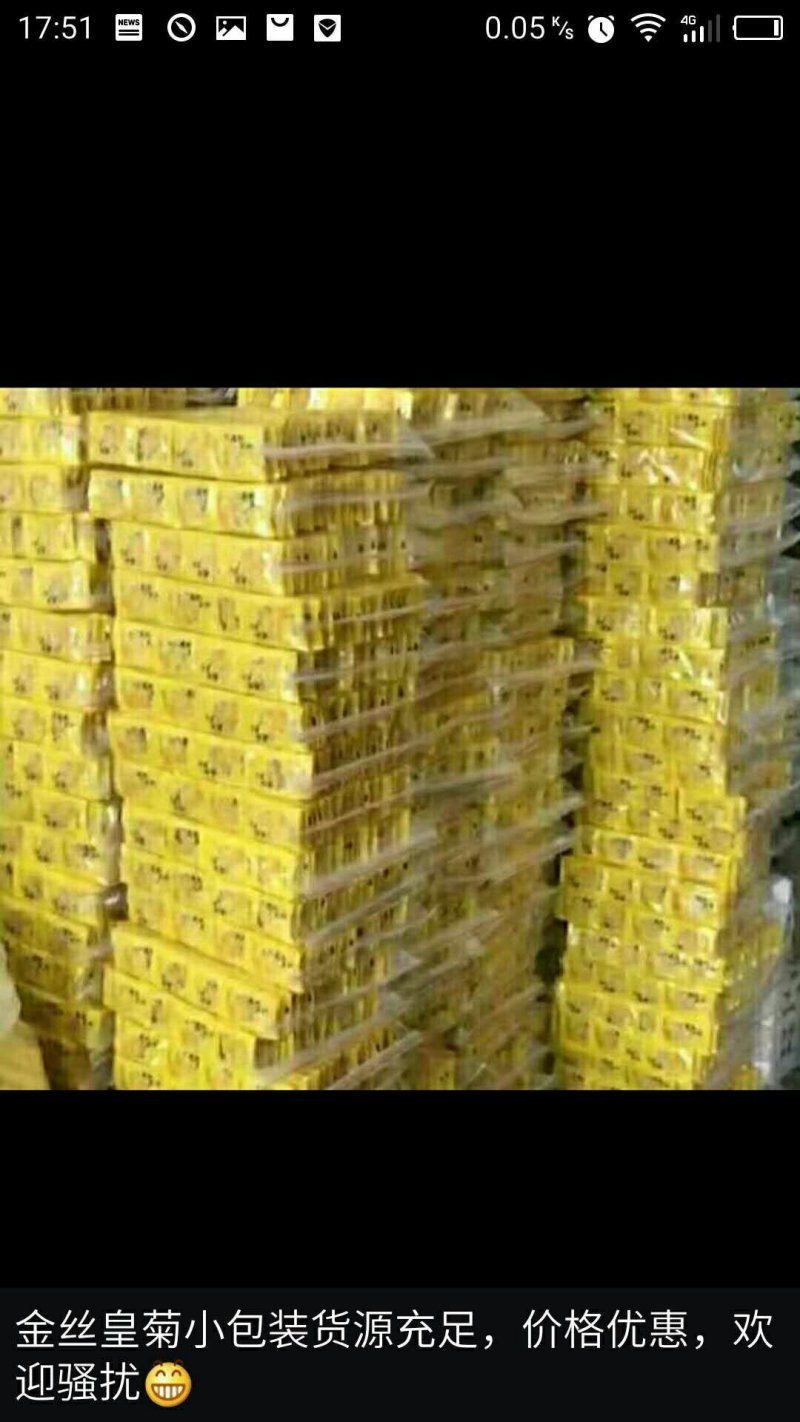 一级金丝皇菊