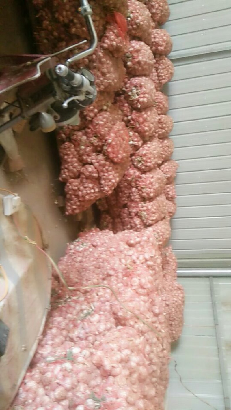 大蒜