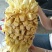 精品【菠萝蜜】规格10～15斤大量上市品种齐全