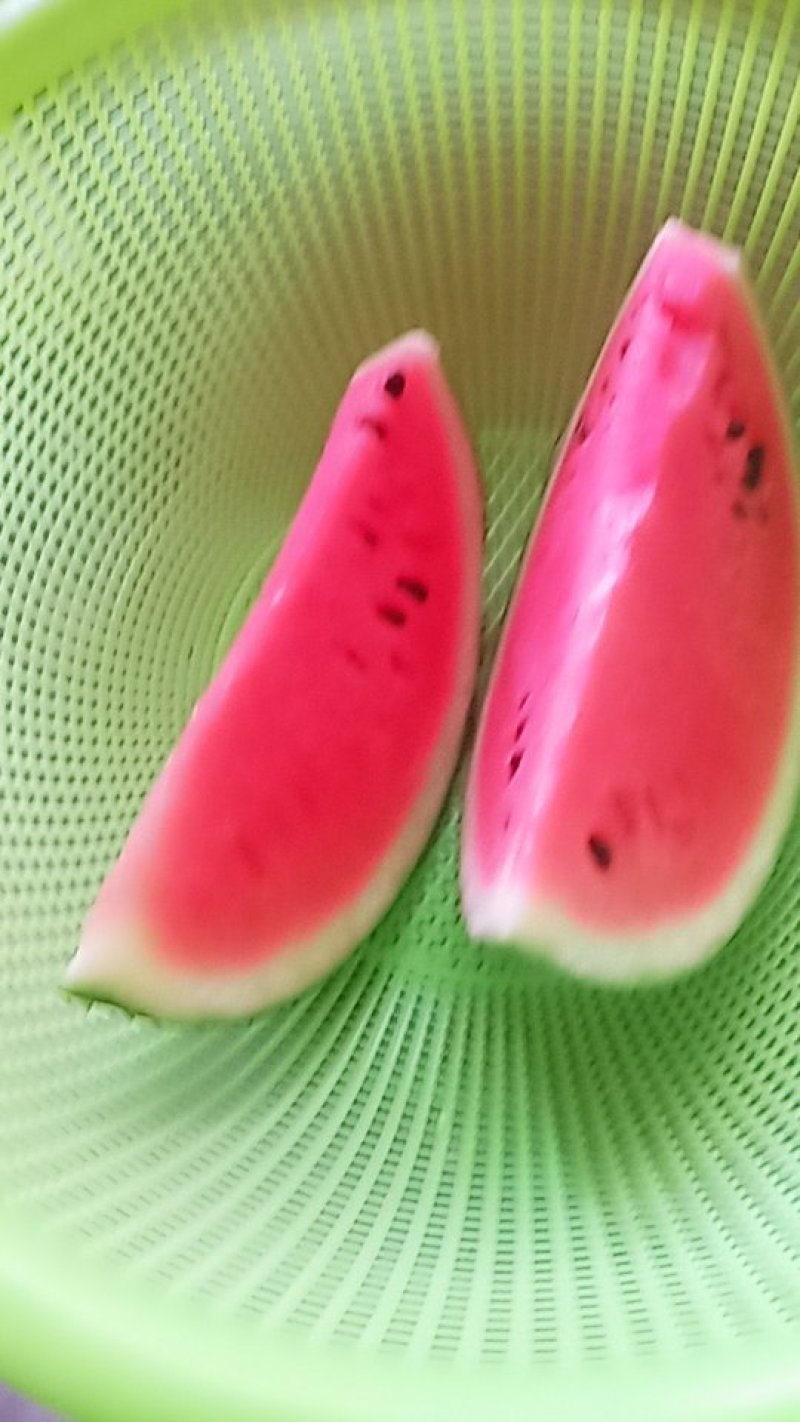 个体种植户京欣西瓜
