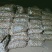 山东精选小土豆荷兰十五土豆土豆小规格土豆马铃薯