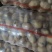 山东精选小土豆荷兰十五土豆土豆小规格土豆马铃薯