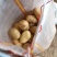 【推荐】山东肥城/平阴精品土豆荷兰十五土豆马铃薯
