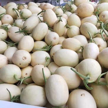 翠梨瓜小白瓜东方蜜白沙蜜大量上市品质保证
