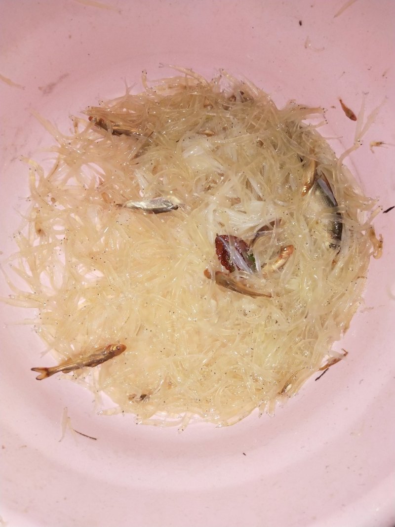 淡水鱼类