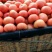 【精选】硬粉西红柿，产地直供，大量供应，代发全国。