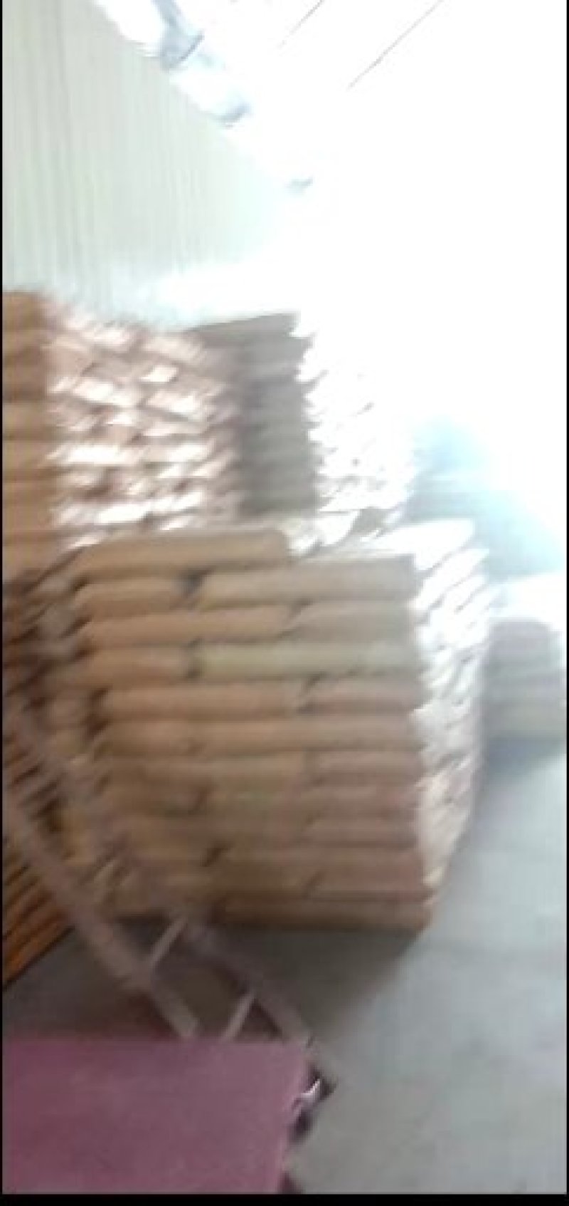 营养钵各种型号大杯单厂价直销质量保证！包邮到家！