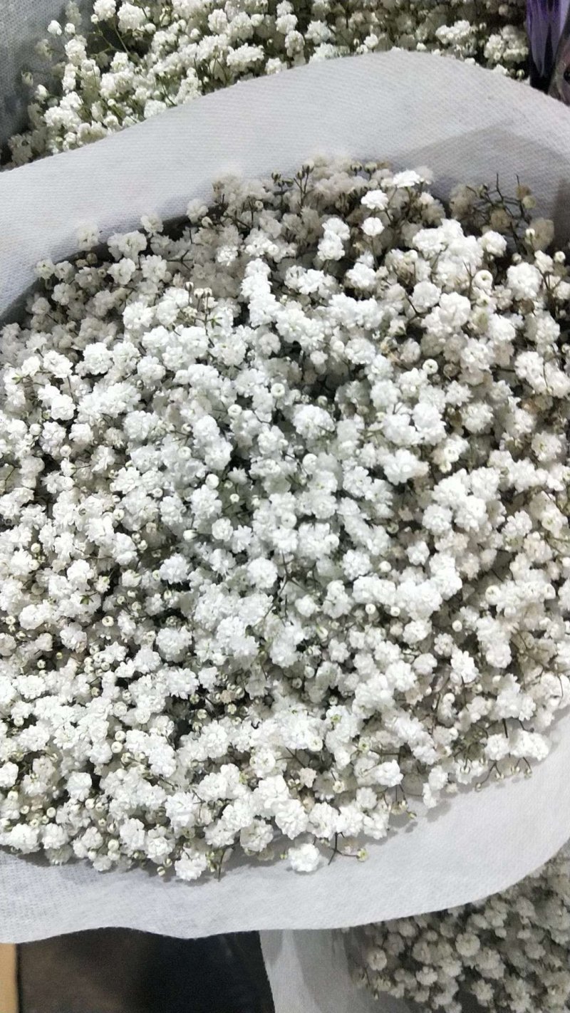 吸色满天星，伊诺思，彩色满天星，质量好，保证质量，售后无