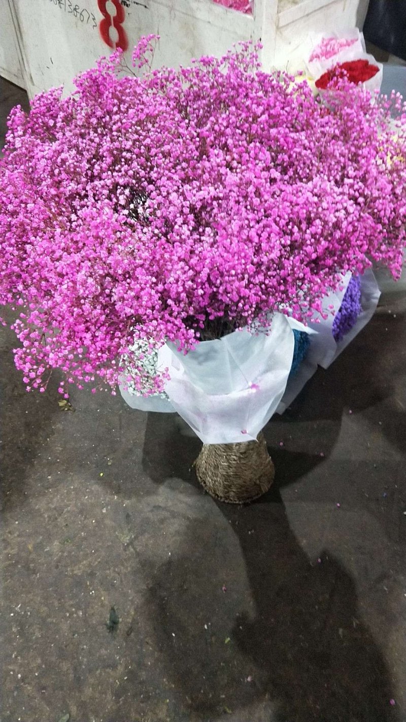 吸色满天星，伊诺思，彩色满天星，质量好，保证质量，售后无
