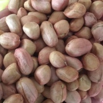 鲁花花生米，油料米价格。品种齐全，保质保量。