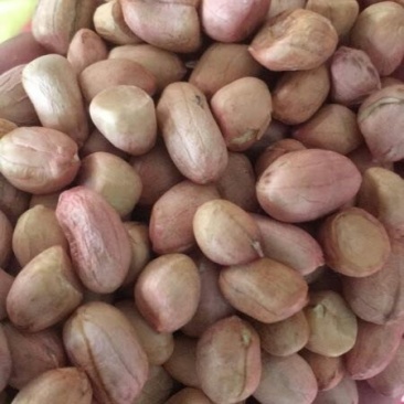 鲁花花生米，油料米价格。品种齐全，保质保量。