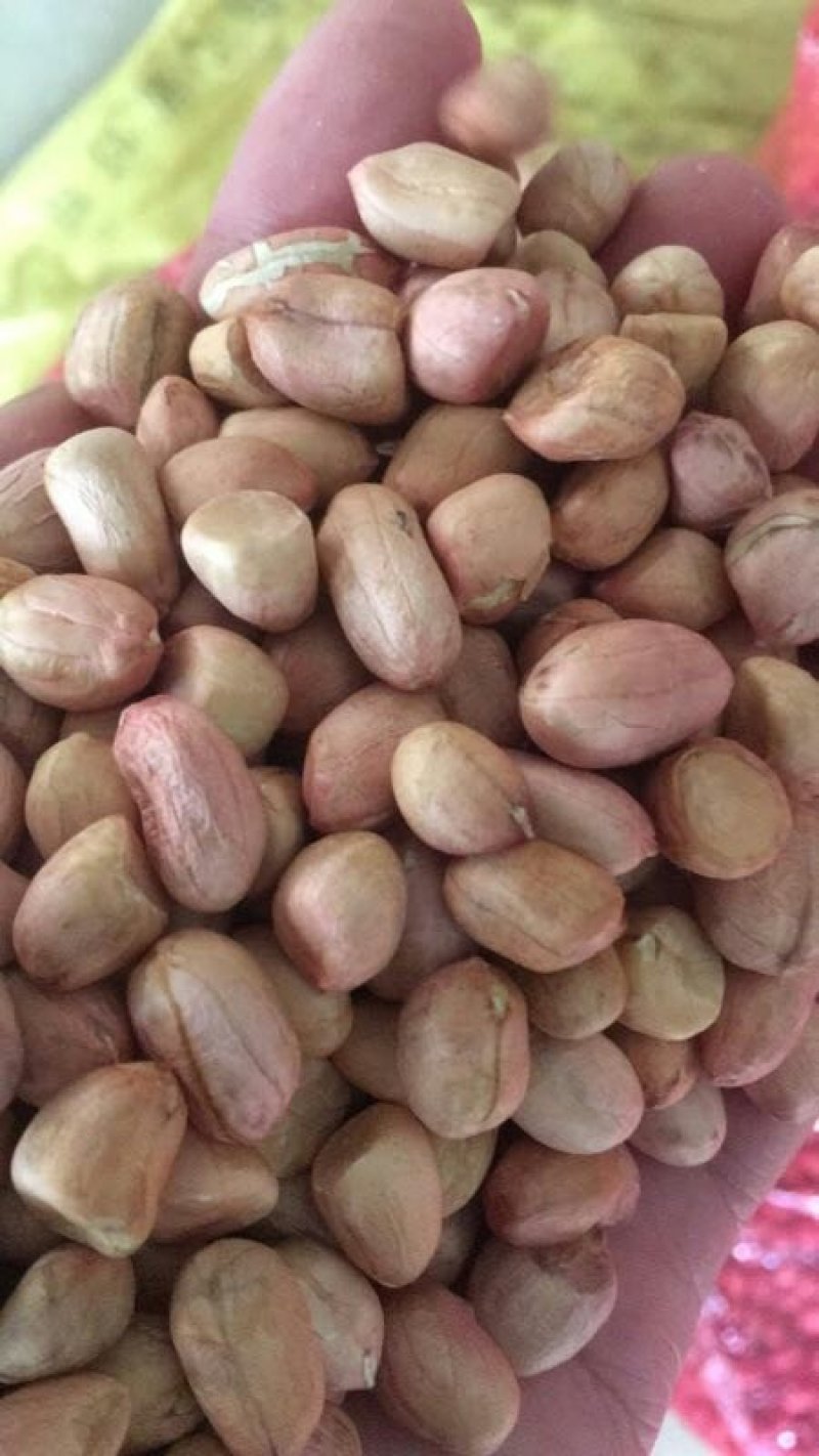 鲁花花生米，油料米价格。品种齐全，保质保量。