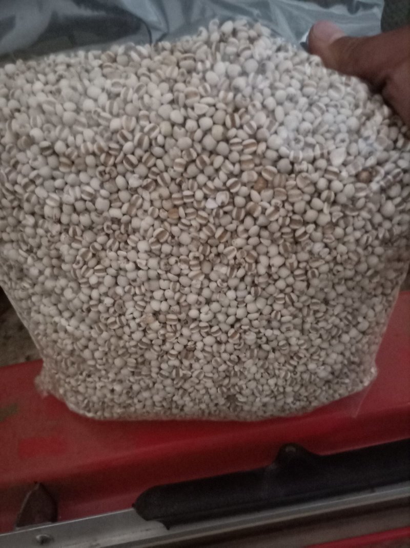 薏米仁，，，，，，，，