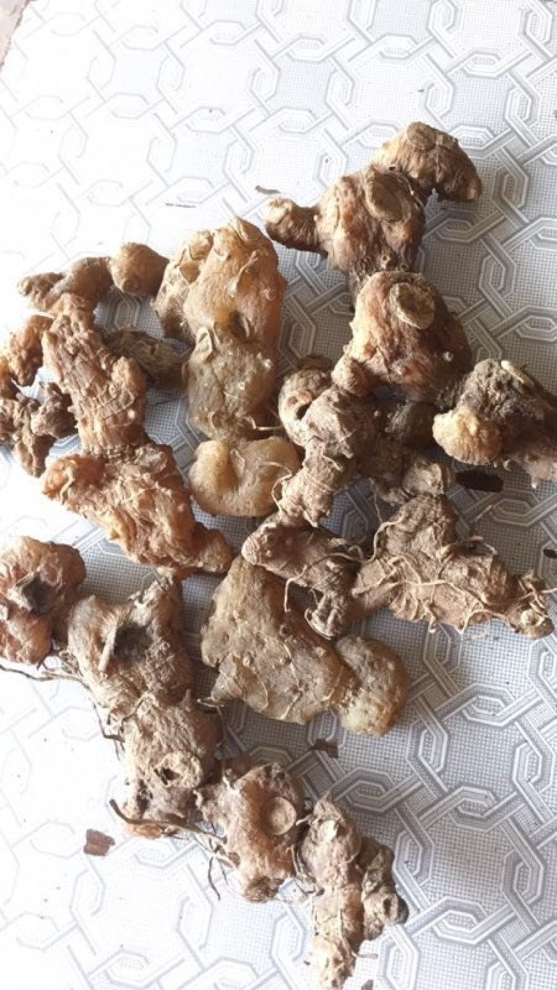 黄精