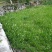 白芨三叉白花，正宗野生假一赔百