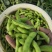 阜阳翠绿宝毛豆产地值供鲜食毛豆大量上市水洗打冷一条龙