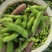 阜阳翠绿宝毛豆产地值供鲜食毛豆大量上市水洗打冷一条龙