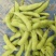 翠绿宝毛豆苏北毛豆基地欢迎合作