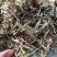 花生秧牛羊草料，1-3公分长。袋装，压块都有货