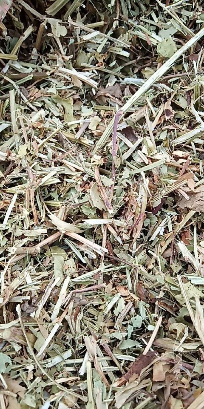 花生秧牛羊草料，1-3公分长。袋装，压块都有货