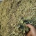 花生秧牛羊草料，1-3公分长。袋装，压块都有货