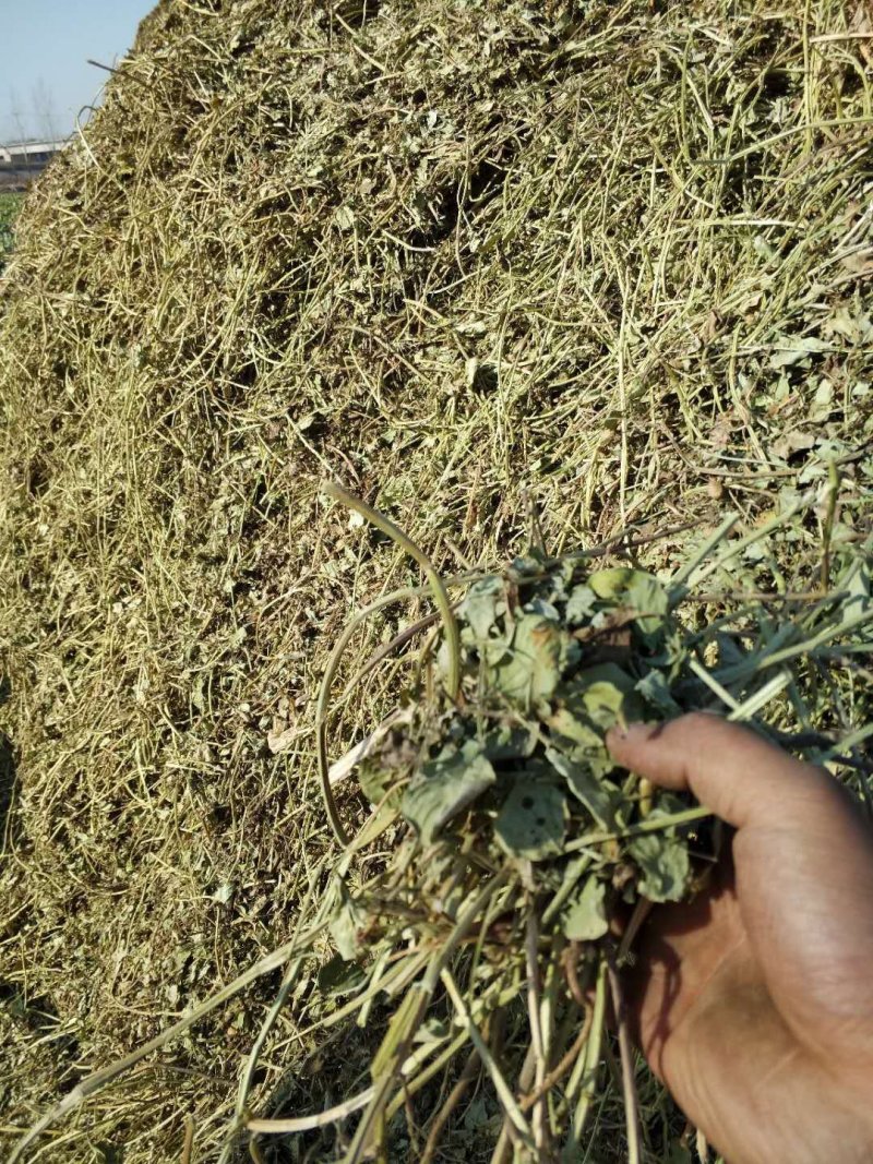 花生秧牛羊草料，1-3公分长。袋装，压块都有货