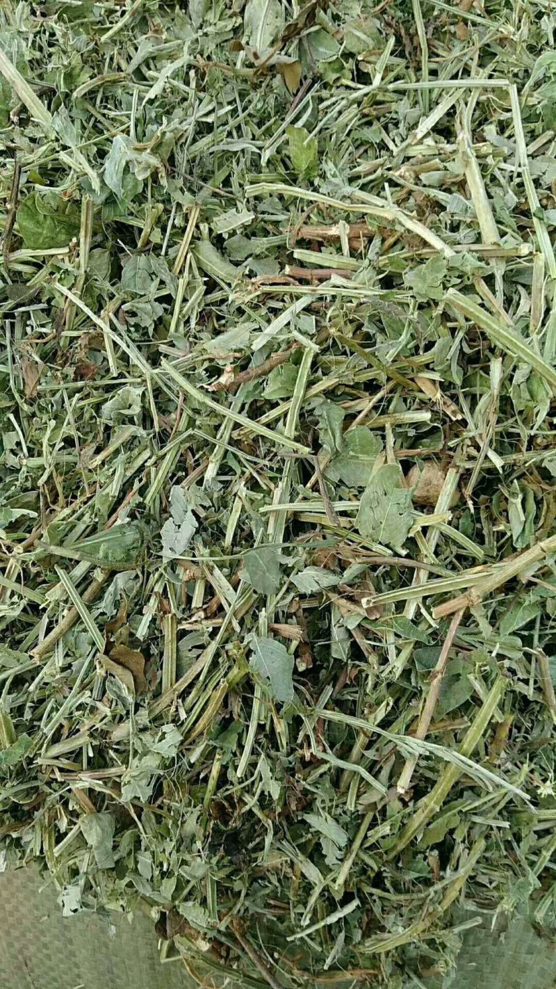 花生秧牛羊草料，1-3公分长。袋装，压块都有货