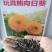 玩具熊向日葵种子多头矮杆发芽率98%货到付款
