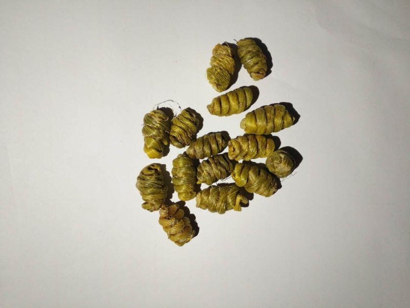 石斛100克起批铁皮霍山云南无硫无添加包邮