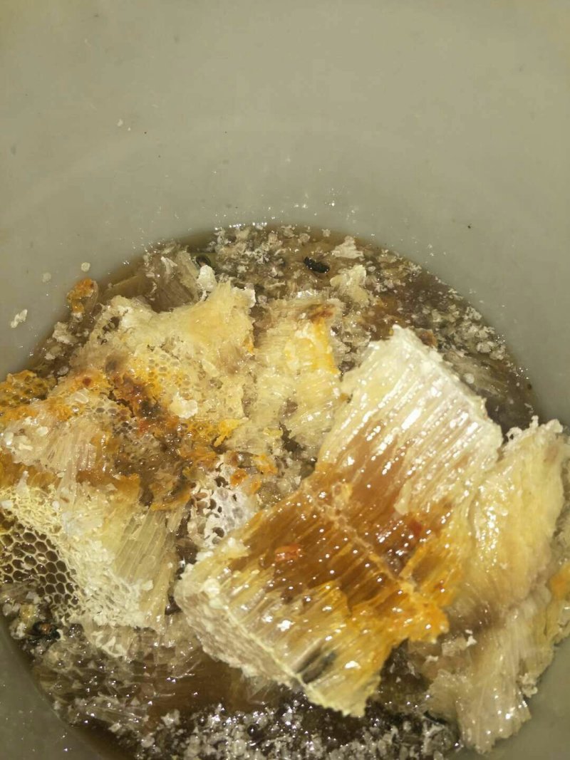 原始森林野生蜜/（可供电商）