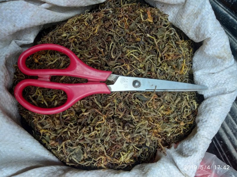 贵州铜仁野生无硫带毛金银花干货毛银花干无杂质忍冬藤叶