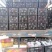 新品头茬丰水梨350～500克纸袋，可供应出口加工